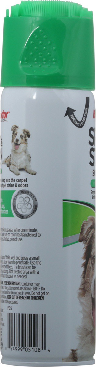 slide 7 of 9, Rug Doctor Pet Formula Fresh Spring Scent Spot & Stain Scrubber 18 oz, 18 oz