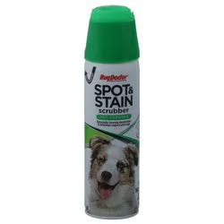 Rug Doctor Pet Formula Fresh Spring Scent Spot & Stain Scrubber 18 oz