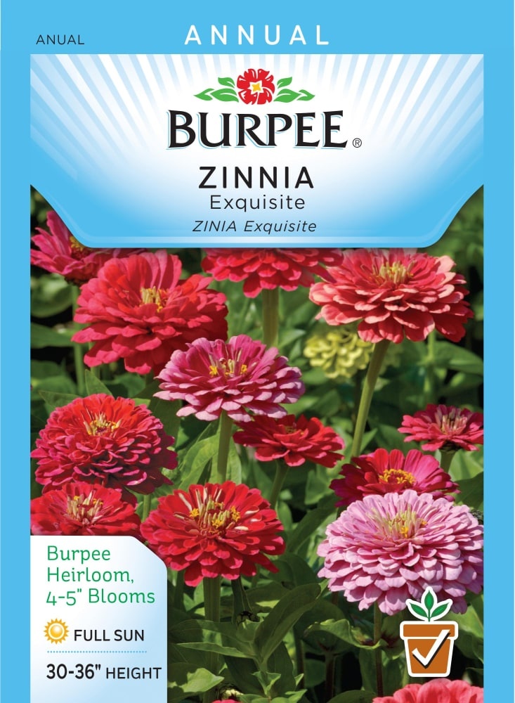 slide 1 of 1, Burpee Heirloom Exquisite Zinnia Seeds, 1 ct