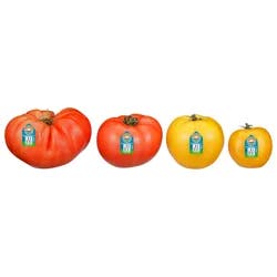 Heirloom Tomato