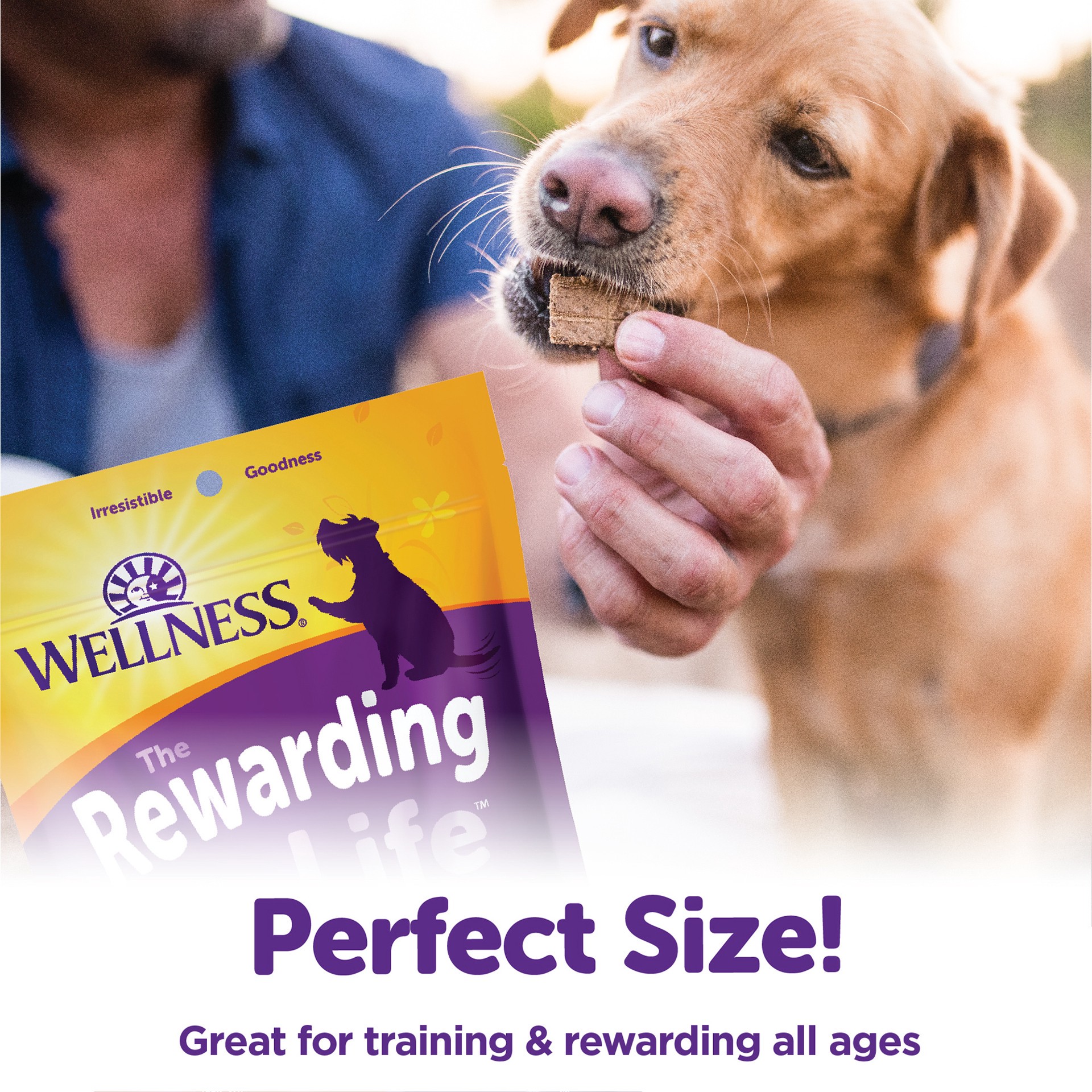 slide 4 of 4, Wellness Rewarding Life Soft & Chewy Dog Treats, Grain Free, Turkey & Duck, 6 Ounce Bag, 6 oz