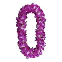 Orchid Lei Dendrobium Double - EA