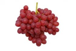 Grape Red Seedless