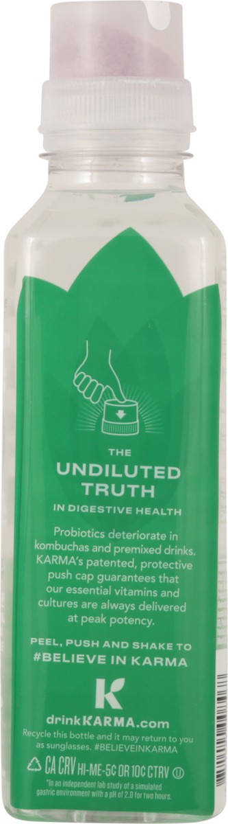 slide 2 of 14, Karma Watermelon Wild Berry Probiotic Water 18 fl oz, 18 fl oz