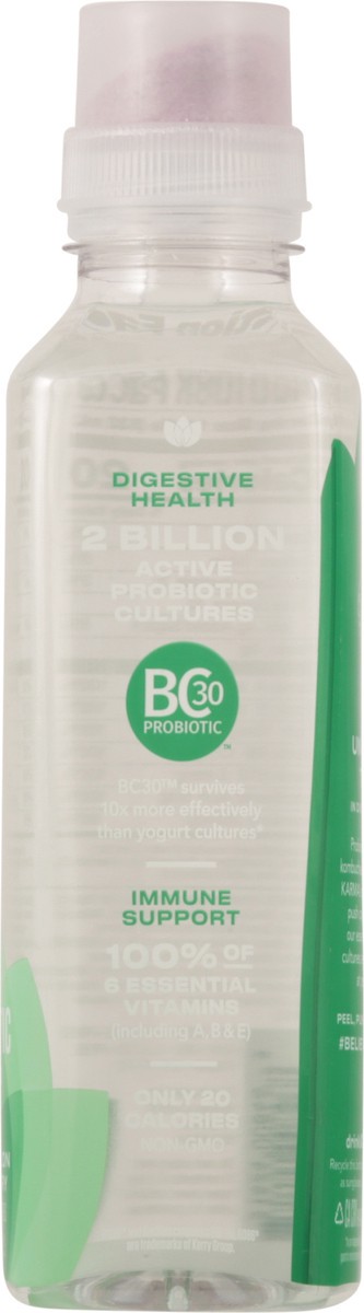 slide 5 of 14, Karma Watermelon Wild Berry Probiotic Water 18 fl oz, 18 fl oz