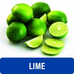 Fresh Key Limes - Each, 1 each