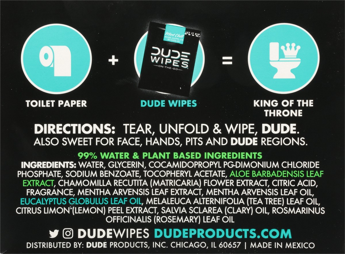 slide 2 of 9, DUDE On-The-Go Mint Chill Flushable Wipes 30 ea, 30 ct