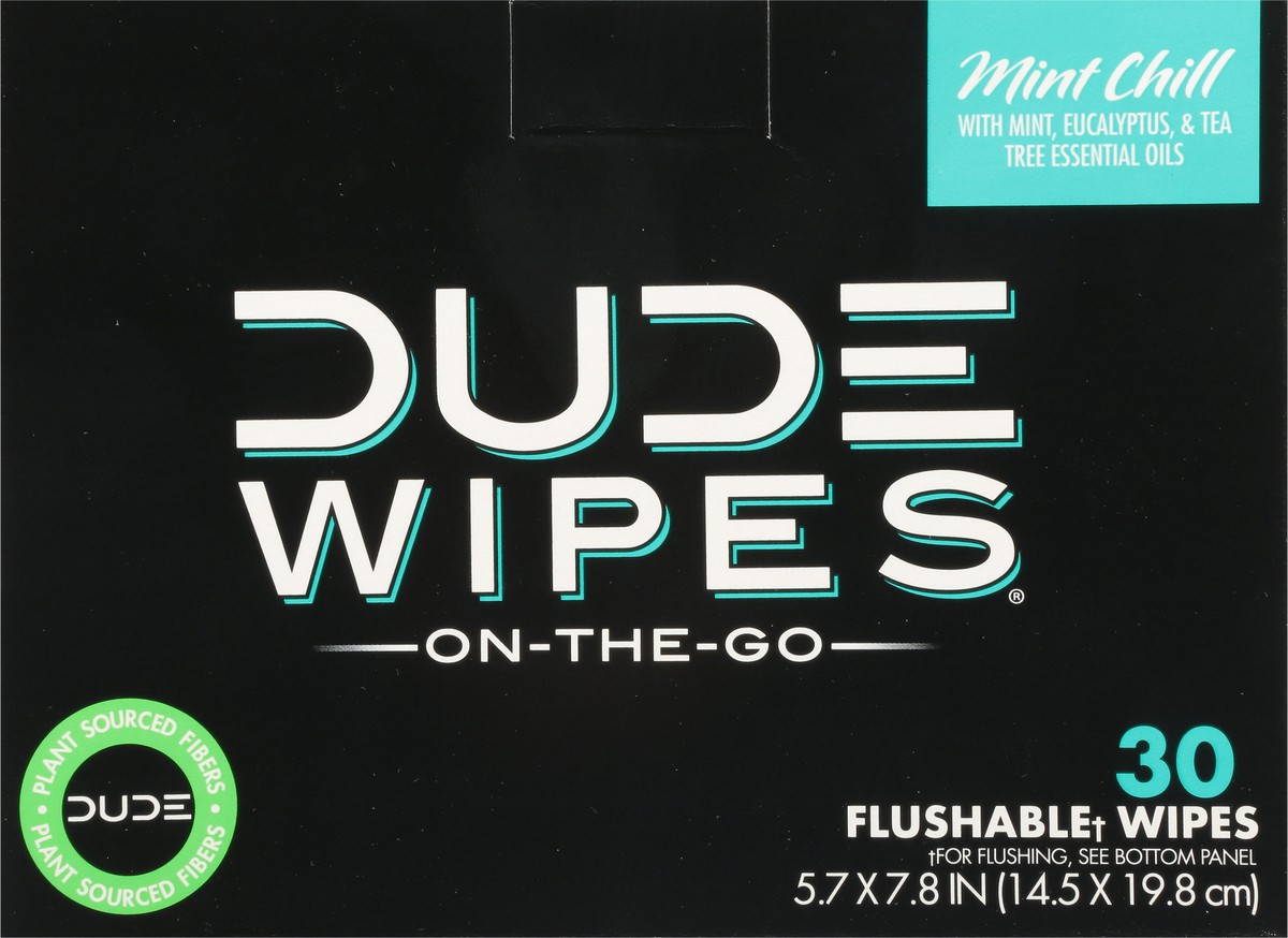 slide 8 of 9, DUDE On-The-Go Mint Chill Flushable Wipes 30 ea, 30 ct