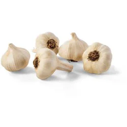 Northgate Organic Garlic
