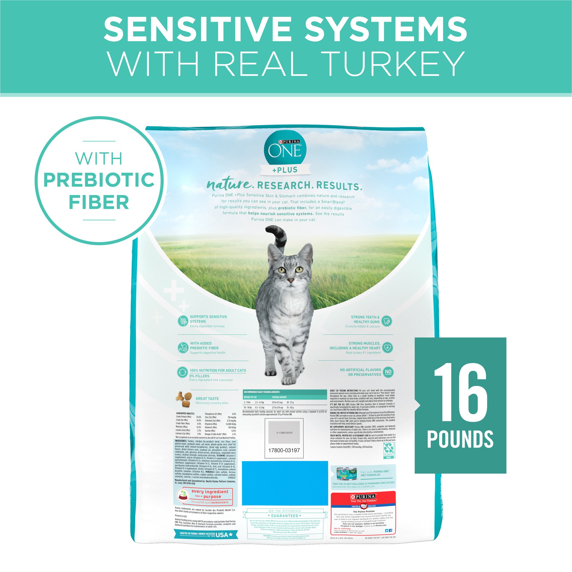 slide 3 of 8, ONE Purina ONE Sensitive Stomach, Sensitive Skin, Natural Dry Cat Food, +Plus Sensitive Skin and Stomach Formula, 16 lb