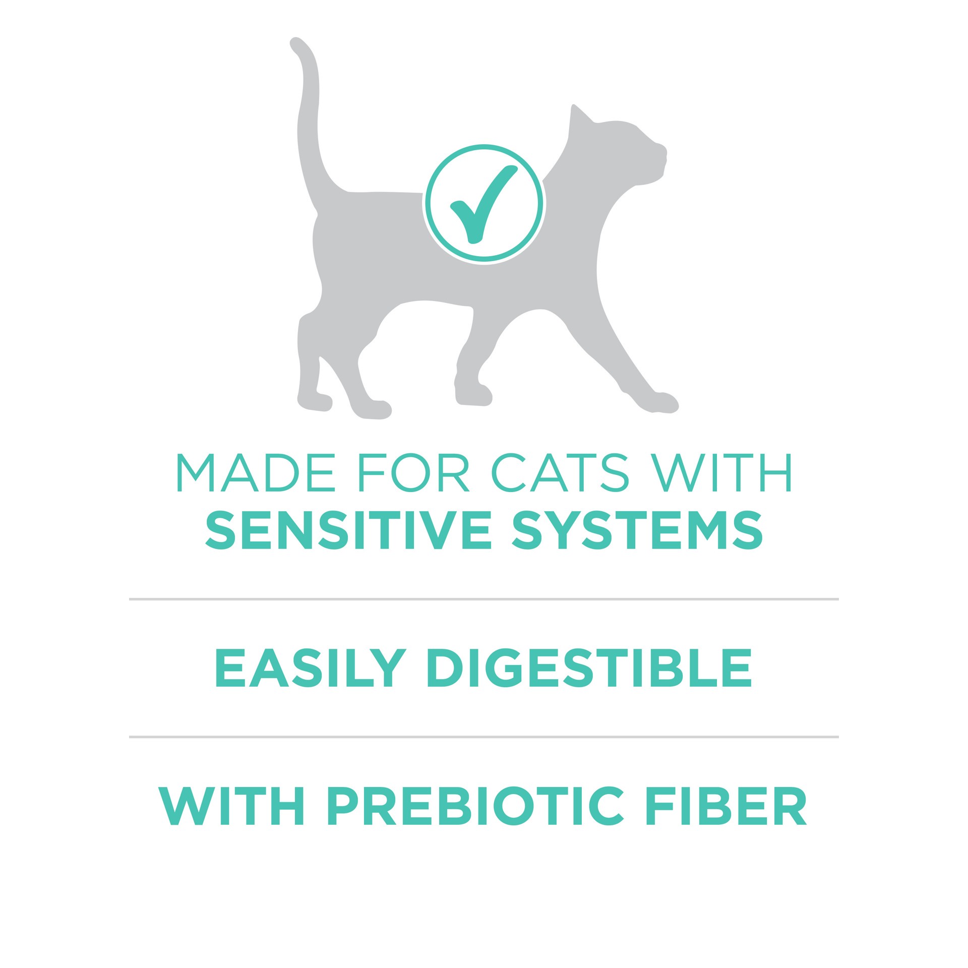 slide 8 of 8, ONE Purina ONE Sensitive Stomach, Sensitive Skin, Natural Dry Cat Food, +Plus Sensitive Skin and Stomach Formula, 16 lb