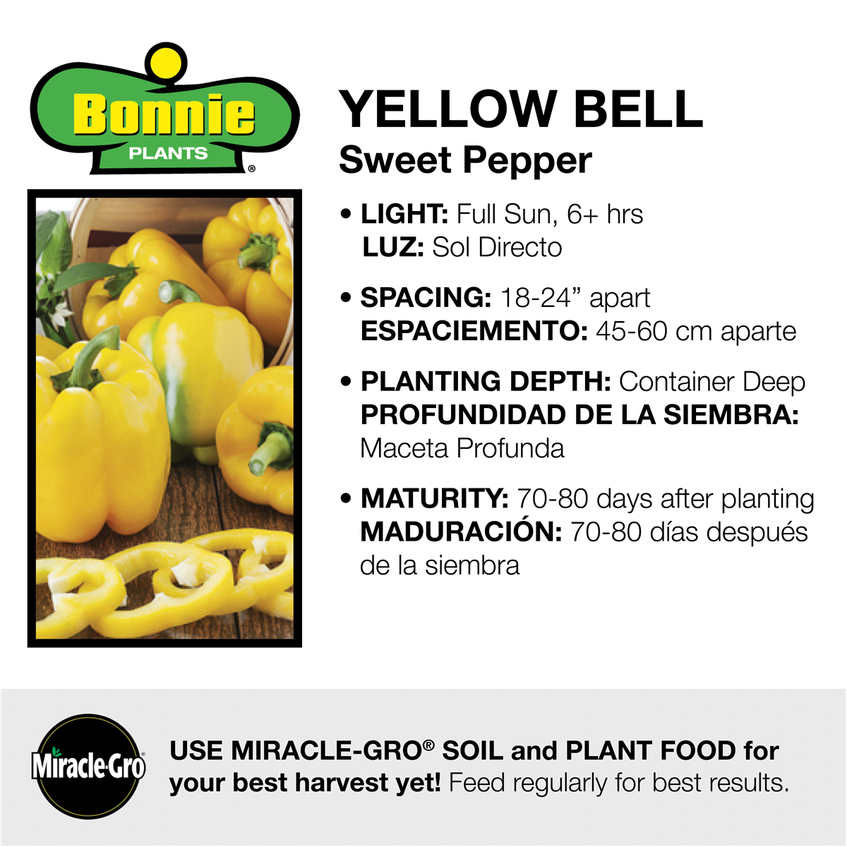 slide 9 of 9, Bonnie Plants  Pepper Yellow Bell, 19.3 oz