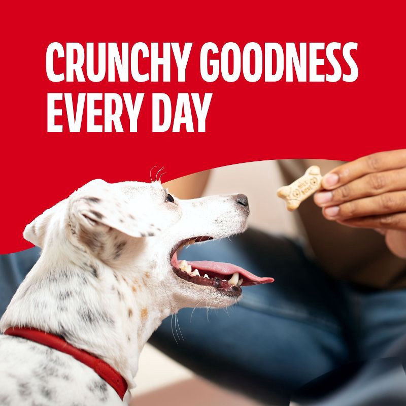 slide 2 of 10, Milk-Bone Original Beef Flavor Biscuits Dog Treats - Small -24oz, 24 oz