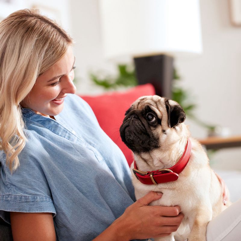 slide 3 of 6, Milk-Bone Original Beef Flavor Biscuits Dog Treats - Small -24oz, 24 oz