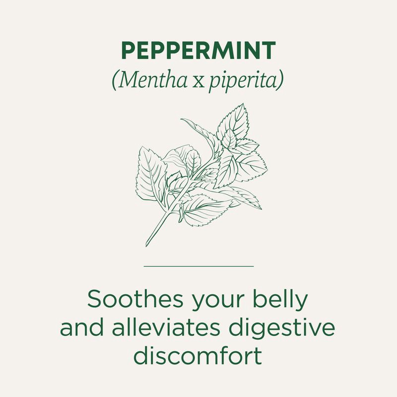 slide 2 of 14, Traditional Medicinals Organic Peppermint Herbal Tea - 16ct, 16 ct