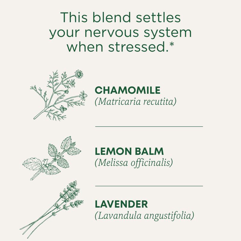 slide 2 of 13, Traditional Medicinals Organic Chamomile with Lavender Herbal Tea - 16ct, 16 ct