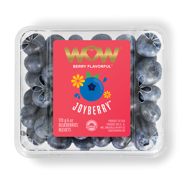 slide 1 of 1, Wow Joyberry Blueberries, 6 oz
