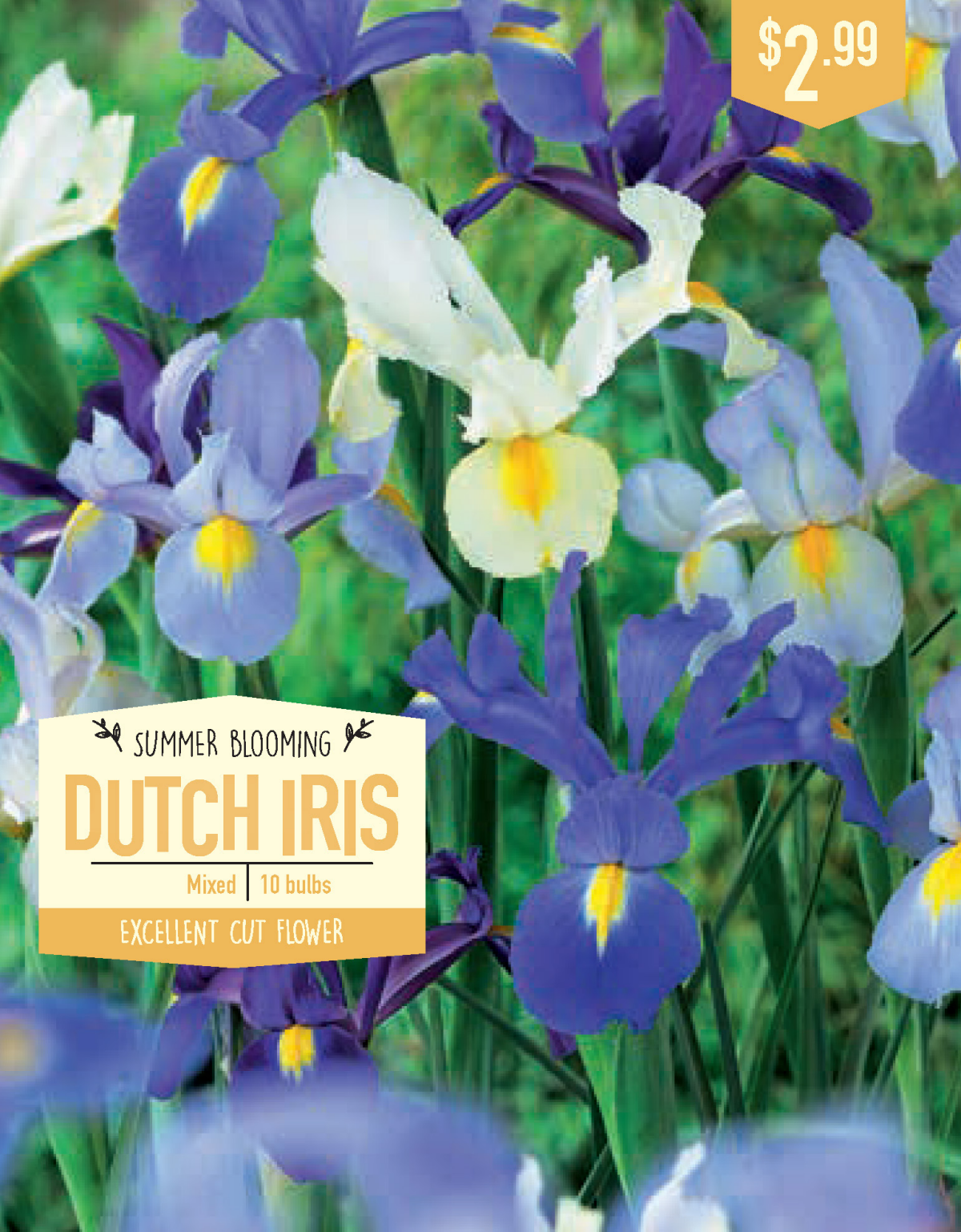 slide 1 of 1, Dutch Iris Mixed 10 ct, 10 ct