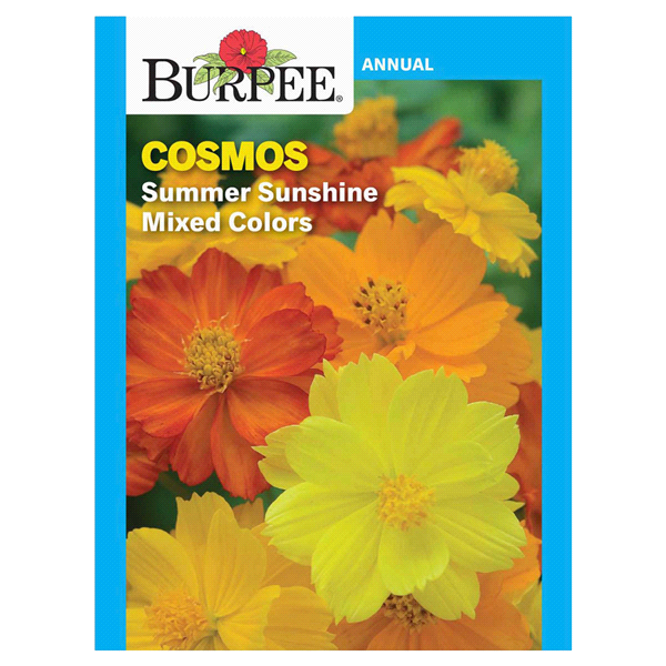 slide 1 of 1, Burpee Cosmos Summer Sunshine Mix Seeds, 1 ct