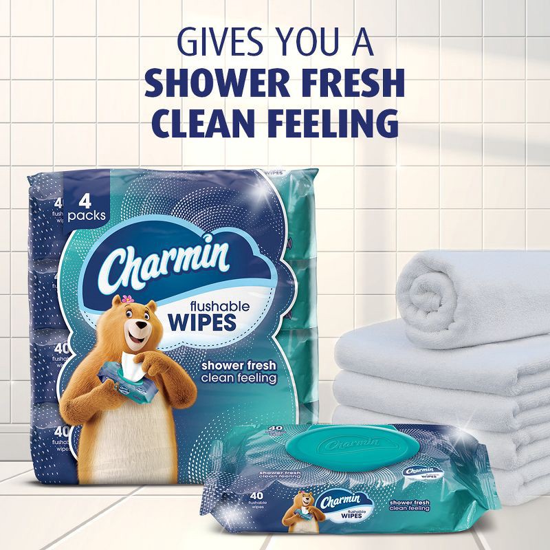 slide 3 of 11, Charmin Flushable Wipes - 4pk/40ct, 4 ct, 40 ct