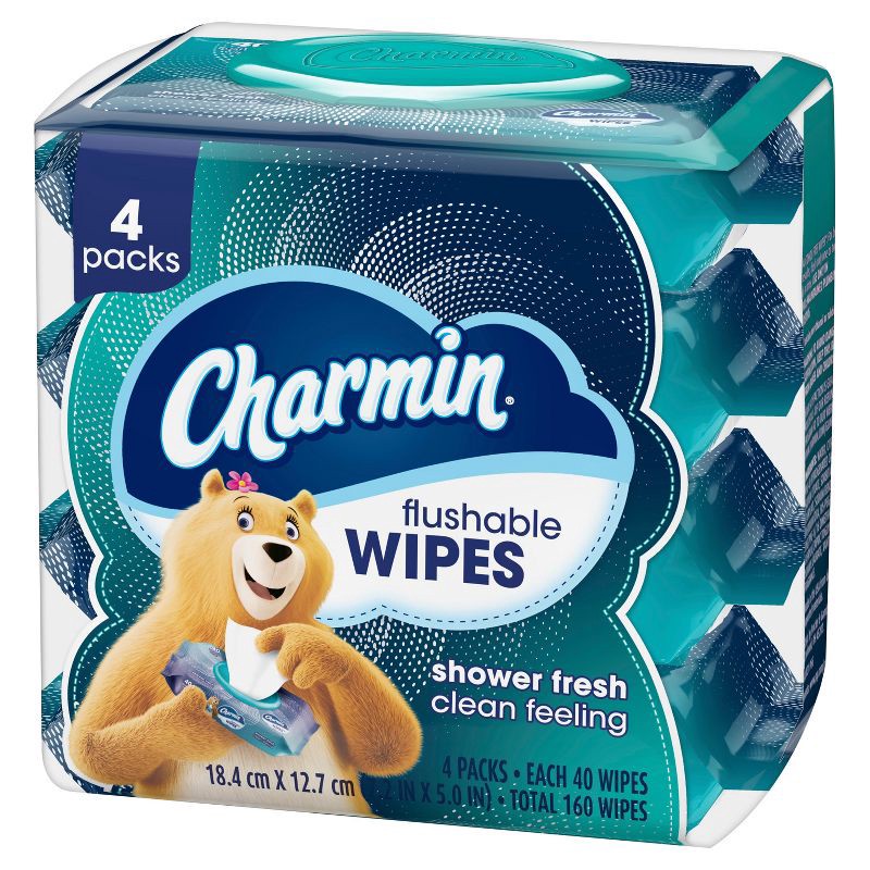 slide 9 of 11, Charmin Flushable Wipes - 4pk/40ct, 4 ct, 40 ct