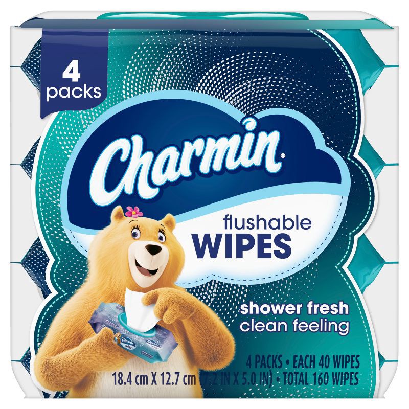 slide 9 of 11, Charmin Flushable Wipes - 4pk/40ct, 4 ct, 40 ct