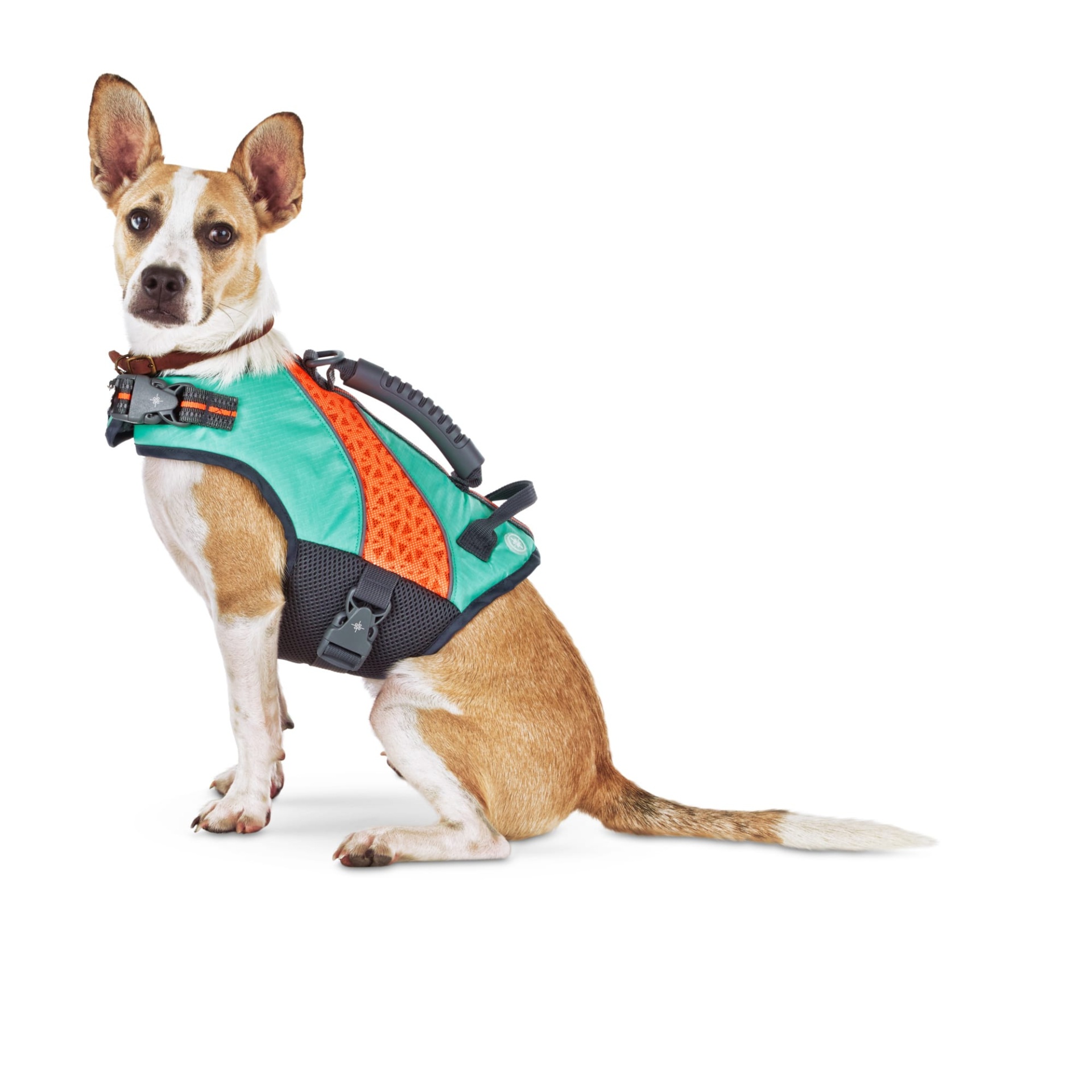 Good2go hot sale dog vest