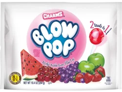 Charms Blow Pop Assorted Bubble Gum Filled Pops 10.4 oz