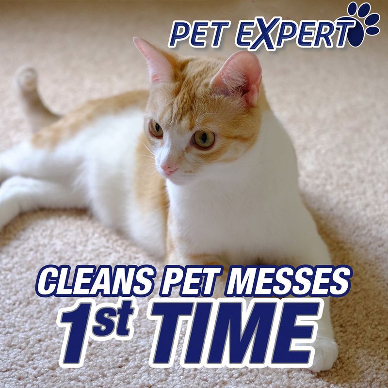slide 4 of 9, Resolve Clean & Fresh Pet Carpet Foam - 22oz, 22 oz