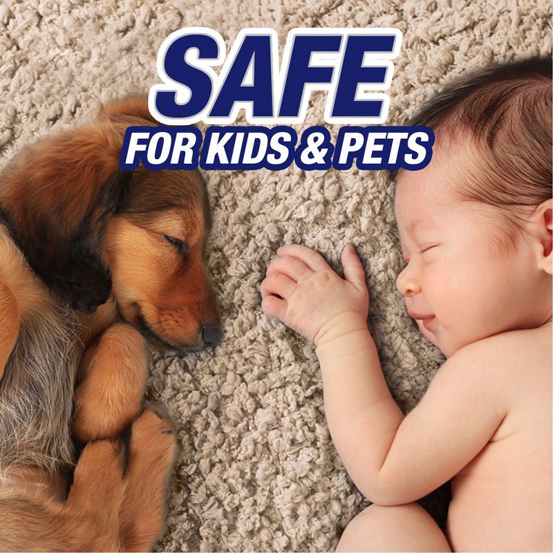 slide 8 of 9, Resolve Clean & Fresh Pet Carpet Foam - 22oz, 22 oz