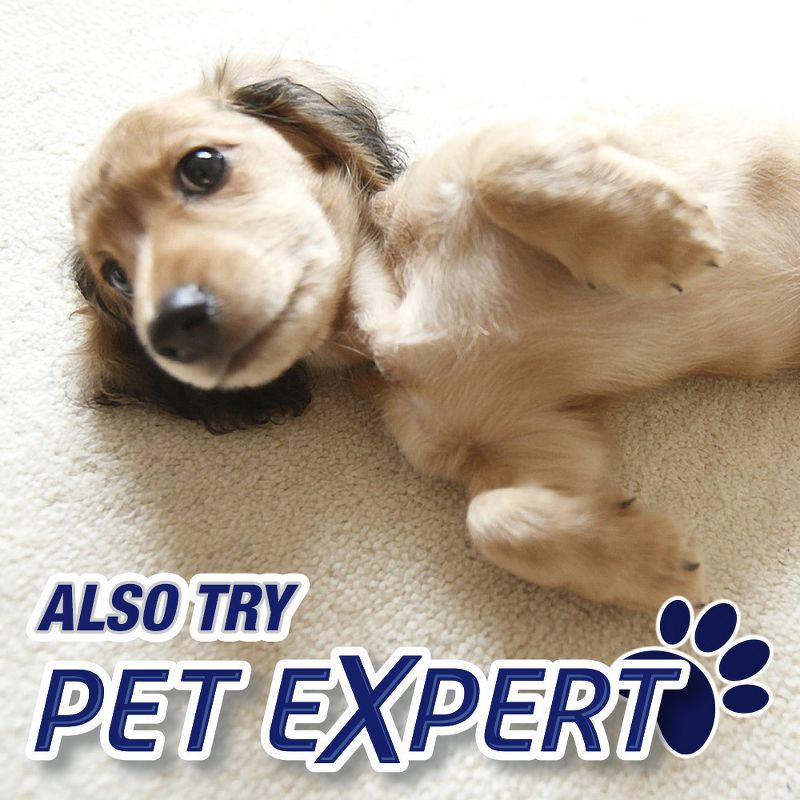 slide 7 of 9, Resolve High Traffic Area Carpet Foam - 22oz, 22 oz