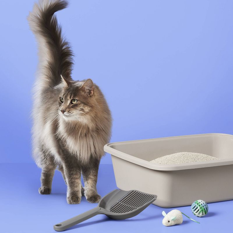 slide 2 of 4, Fragrance Free Scoopable Clumping Cat Litter - 20lbs - up&up™, 20 lb