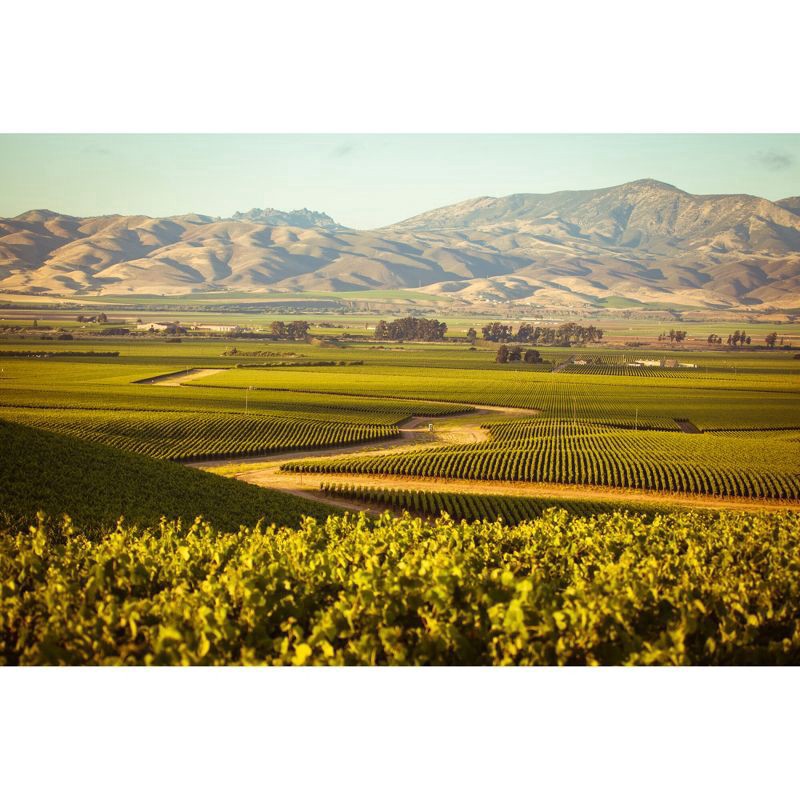 slide 3 of 8, La Crema Sonoma County Sauvignon Blanc 750 ml, 750 ml