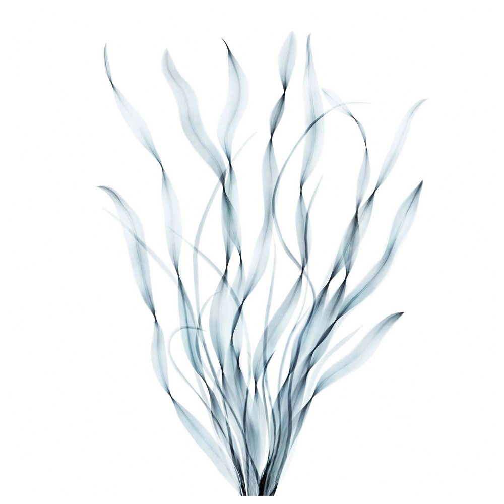 slide 3 of 5, Nexxus Hydra Light Weightless Moisture Shampoo, 13.5 oz