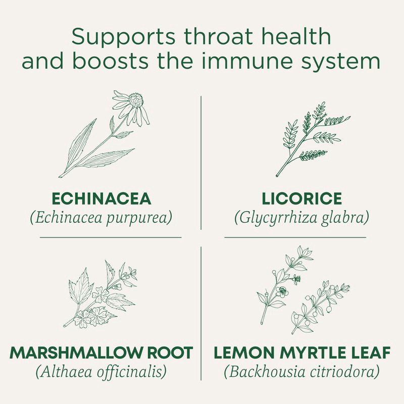 slide 3 of 13, Traditional Medicinals Organic Throat Coat Lemon Echinacea Herbal Tea - 16ct, 16 ct
