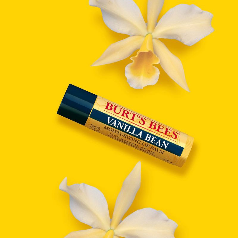 slide 3 of 15, Burt's Bees Lip Balm Best of Burt's - 4ct, 4 ct