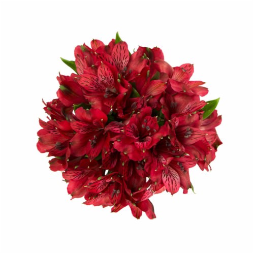 slide 1 of 1, Sunshine Bouquet Alstro, 1 ct