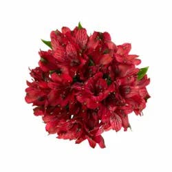 Sunshine Bouquet Alstro