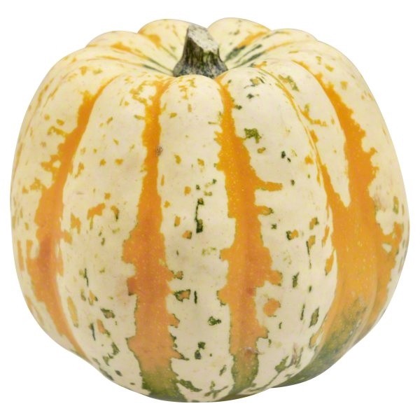 slide 1 of 1, Carnival Squash, 1 ct