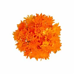 Sunshine Bouquet Pom