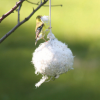 slide 5 of 5, BIRDS CHOICE Bird's Choice Nesting Ball, 1 ct