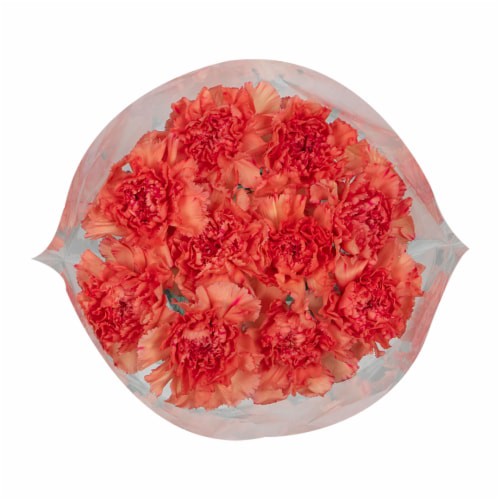 slide 1 of 1, Sunshine Bouquet Carnation, 1 ct