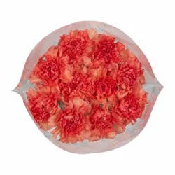 Sunshine Bouquet Carnation