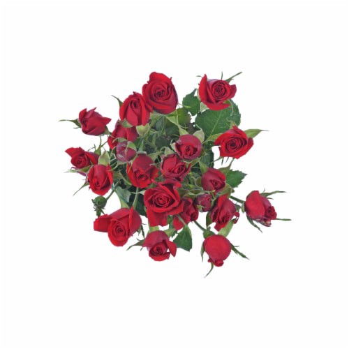 slide 1 of 1, Sunshine Bouquet Spray Roses, 1 ct