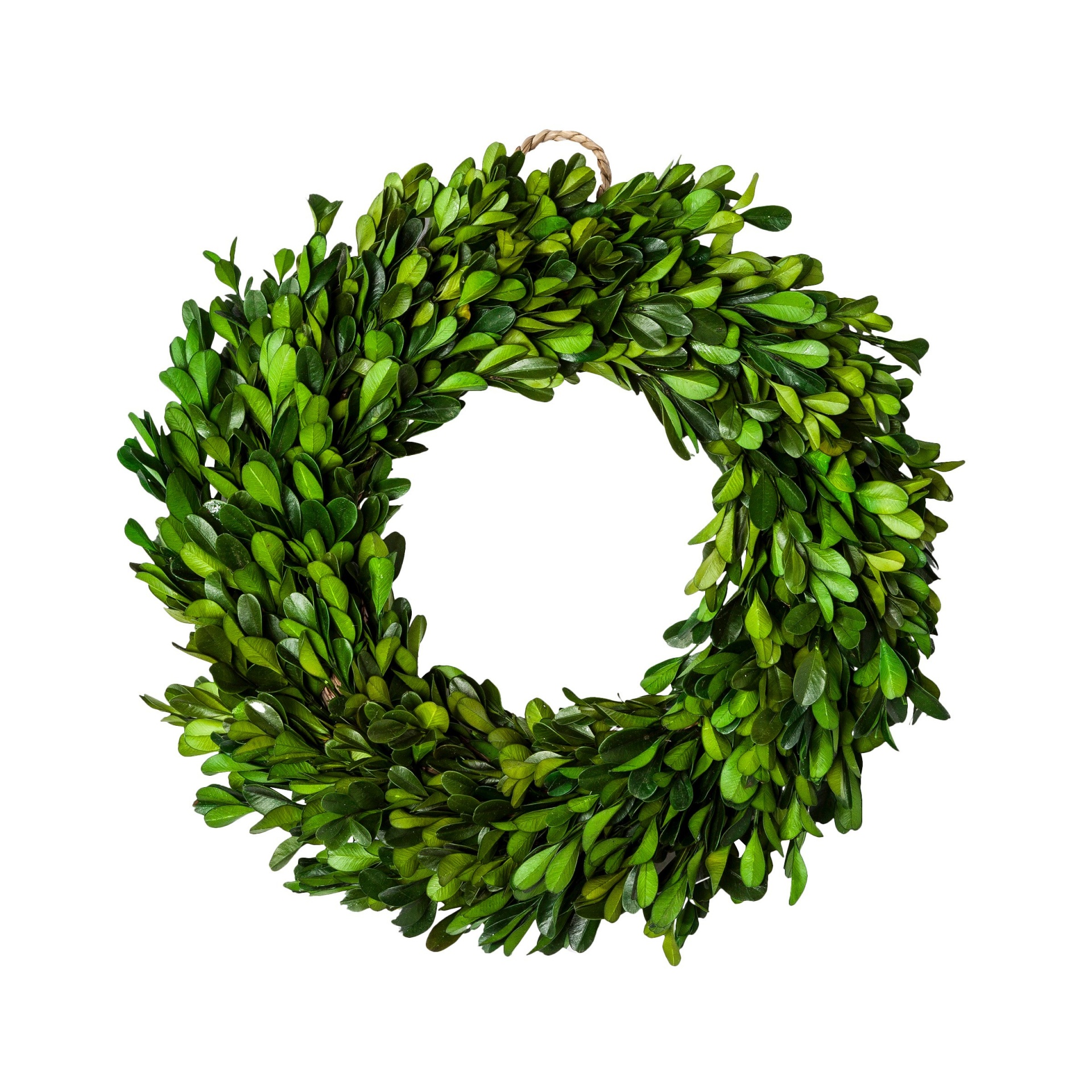 slide 1 of 3, Preserved Boxwood Leaves Wreath , 10.75 in