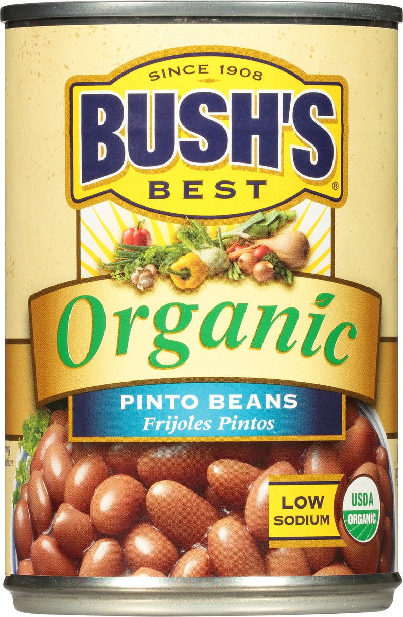 slide 3 of 7, Bush's Best Organic Pinto Beans 15 oz, 15 oz