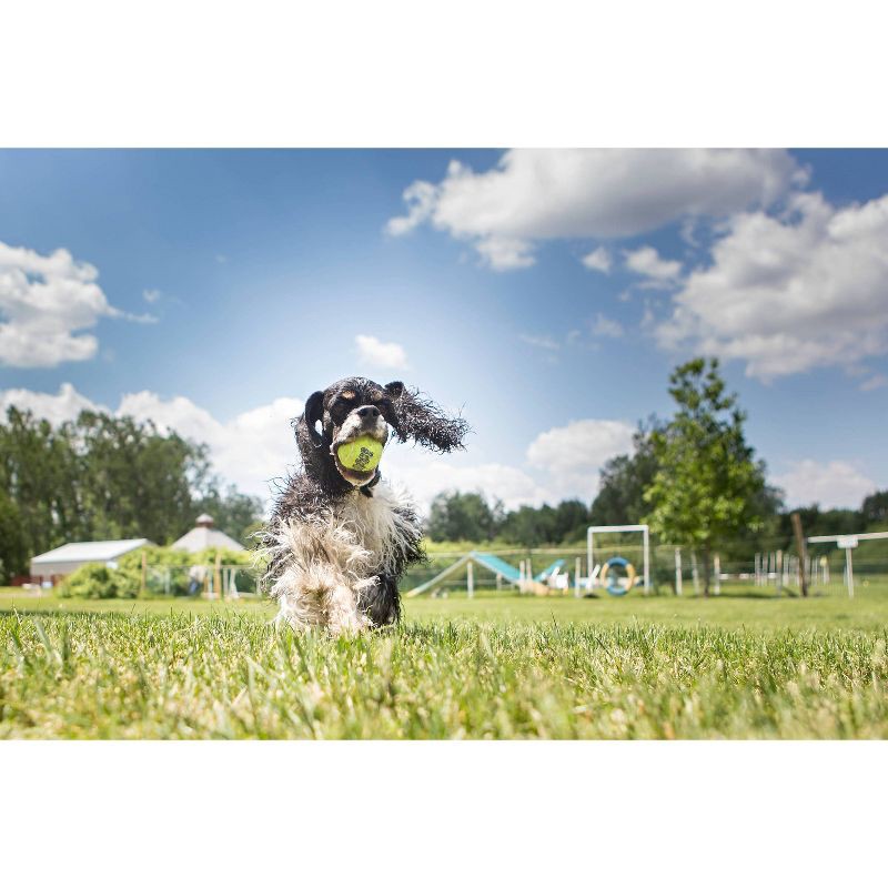 slide 4 of 5, KONG SqueakAir Tennis Ball Dog Toy - Yellow - 4ct, 4 ct