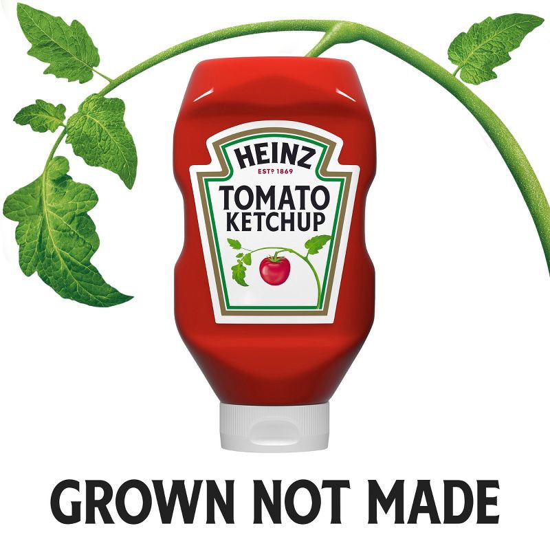 slide 6 of 13, Heinz Tomato Ketchup 32oz, 32 oz