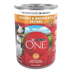 Purina ONE SmartBlend Tender Cuts In Gravy Wet Dog Food Chicken & Brown Rice Entrée - 13oz