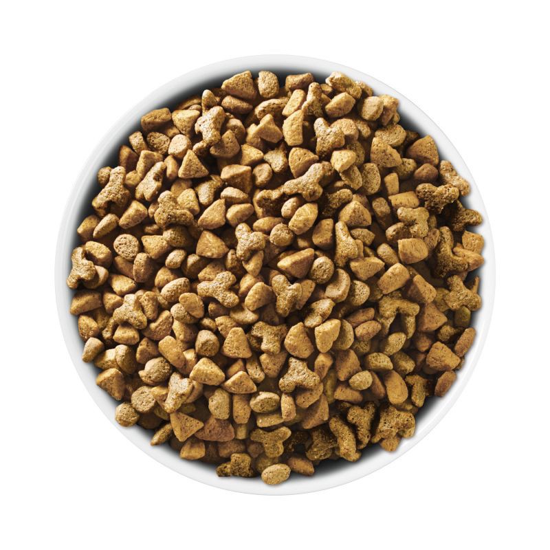 slide 2 of 8, Purina ONE Indoor Advantage Natural Dry Cat Food with Turkey for Indoor Cats - 16lbs, 16 lb